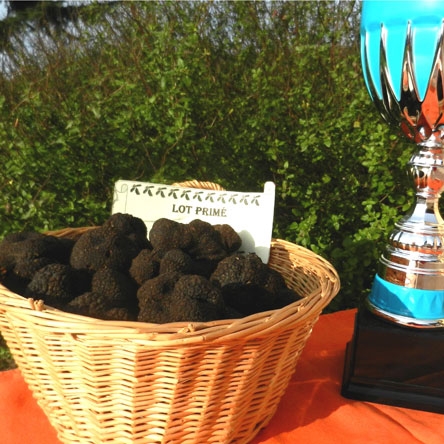 Dimanche 02 Février 2020 au matin : marché aux truffes primé